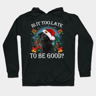 Santa Black Labrador Christmas Is It Too Late To Be Good Hoodie